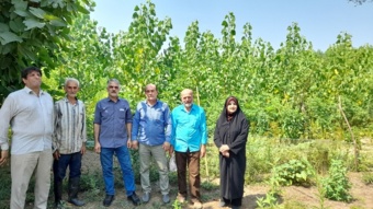 بازدید علمی برای توسعه صنوبرکاری در گیلان