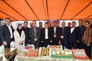 تالش میزبان نشست راهبردی کیوی