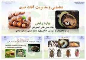 برگزاری دوره آموزشی "شناسایی و مدیریت آفات فندق"