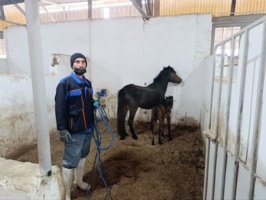 میراث زنده