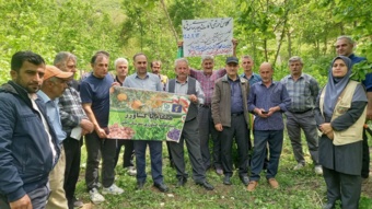 رازهای برداشت طلایی فندق