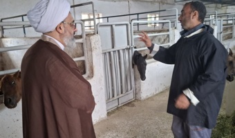 تمرکز بر پژوهش و امنیت غذایی
