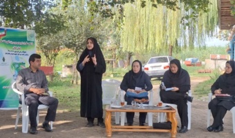 گام بلند گیلان در مسیر الگوی کشت ملی