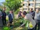 برگزاری مراسم "کاشت نهال"
