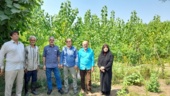 بازدید علمی برای توسعه صنوبرکاری در گیلان