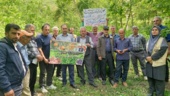 رازهای برداشت طلایی فندق