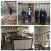 بررسی اجرای طرح‌های گلخانه‌ای