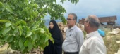 گرد و غبار معادن