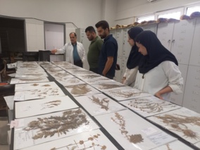 بازدید علمی دانشجویان دانشگاه گیلان از هرباریوم مرکز