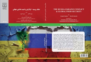 نبرد نان و گلوله: کتابی تازه درباره جنگ اوکراین و بحران جهانی غذا