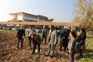 از برگ کتاب تا برگ زندگی