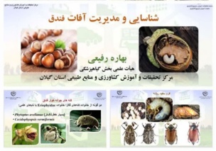 برگزاری دوره آموزشی "شناسایی و مدیریت آفات فندق"