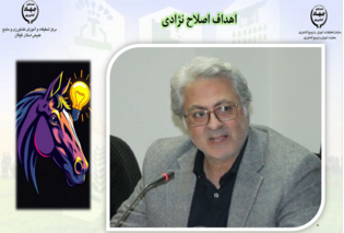 تدوین استراتژی‌های ژنتیکی