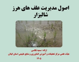 از خطر تا پایداری
