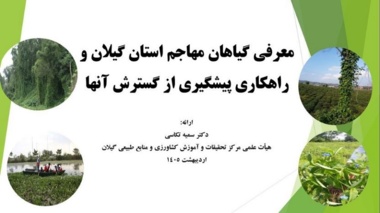 زنگ خطر گیاهان مهاجم در گیلان