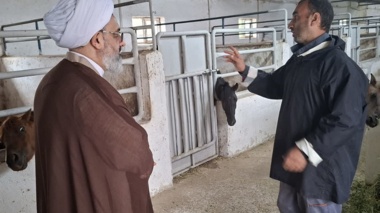 تمرکز بر پژوهش و امنیت غذایی