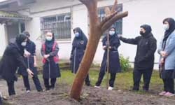 هنرستان کشاورزی