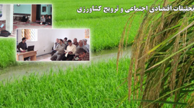 بخش تحقیقات اقتصادی اجتماعی و ترویج کشاورزی